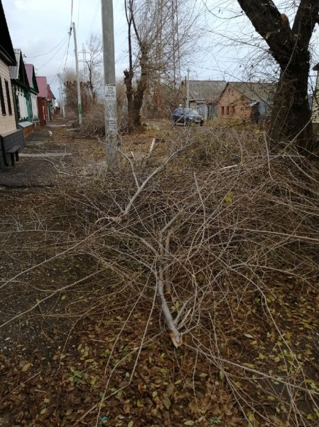 В Оренбурге коммунальщики во время опиловки оборвали провода интернет-провайдера