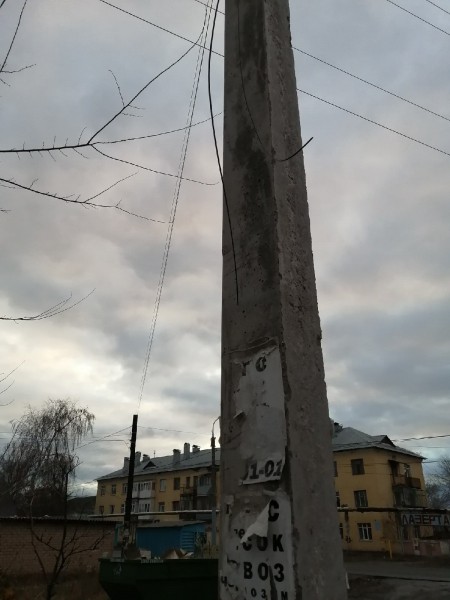 В Оренбурге коммунальщики во время опиловки оборвали провода интернет-провайдера