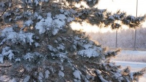 Прогноз погоды на 06 декабря Прогноз погоды на 06 декабря