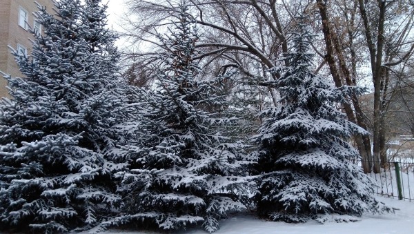 Между циклоном и антициклоном. Оренбуржье ожидают выходные с &laquo;сюрпризом&raquo;
