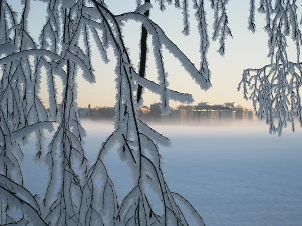 Прогноз погоды на 12 декабря