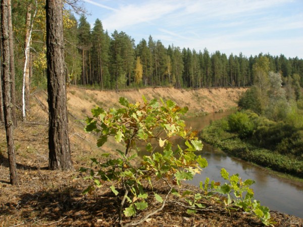 Алексей Баштовой, МТС: 2020 год стал прыжком из зоны комфорта в зону роста