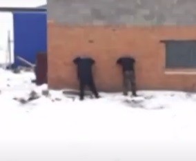 В Грачевском районе покупатели пытались похитить у фермера 44 тонны семян подсолнечника