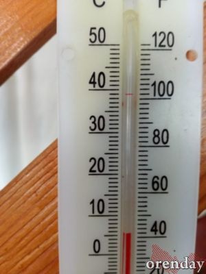 Жители села Спасское жалуются на разваливающийся дом культуры и мусор