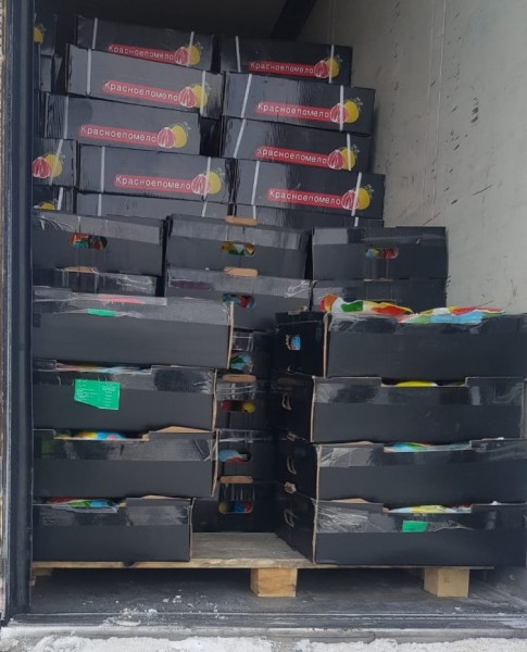 В Оренбург не удалось ввезти больше 200 тонн продуктов из ближнего зарубежья В Оренбург не удалось ввезти больше 200 тонн продуктов из ближнего зарубежья