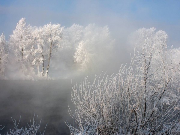 Оренбуржцев предупреждают о тумане и изморози
