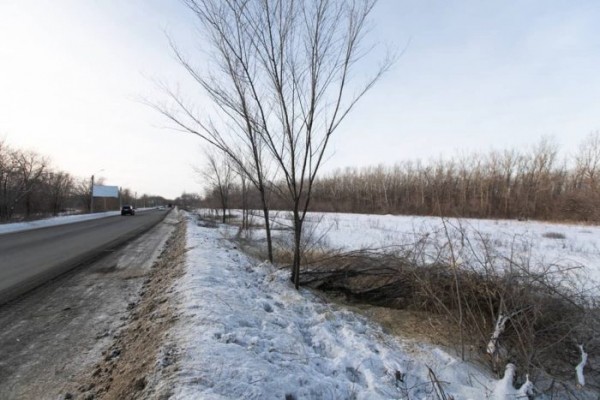 Посмотрел мультики и лесопосадки. Паслер рассказал о поездке в Орск Посмотрел мультики и лесопосадки. Паслер рассказал о поездке в Орск