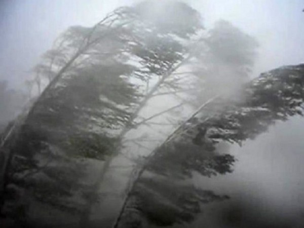 В ночь на пятницу в Оренбуржье ожидается усиление ветра до 25-26 м/с