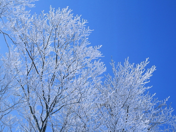 В Оренбурге установилась прогулочная погода В Оренбурге установилась прогулочная погода