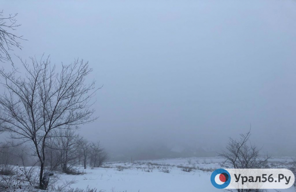 
Вчера в Орске было выявлено превышение концентрации сероводорода в воздухе в 3,4 раза		