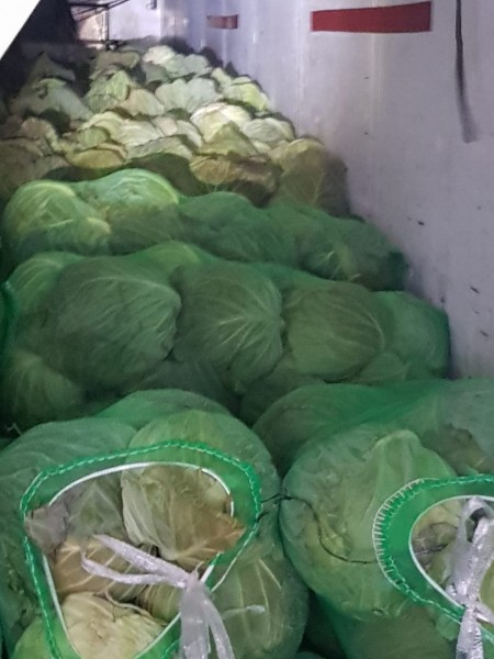 В Оренбург не удалось ввезти больше 200 тонн продуктов из ближнего зарубежья В Оренбург не удалось ввезти больше 200 тонн продуктов из ближнего зарубежья