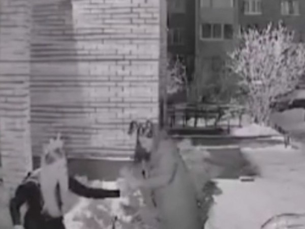 В оренбургском дворе две девушки похитили ёлку