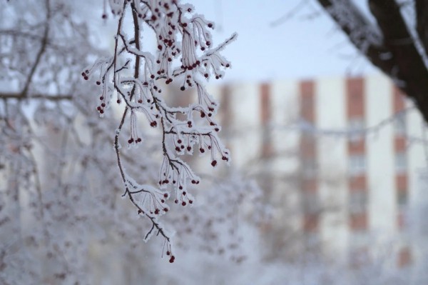 Прогноз погоды на 29 января