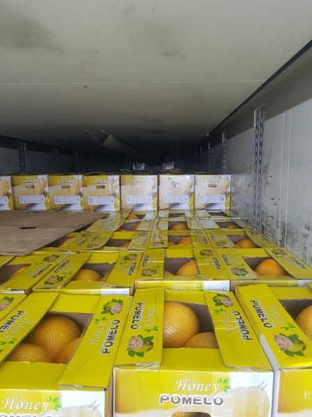 В Оренбург не удалось ввезти больше 200 тонн продуктов из ближнего зарубежья В Оренбург не удалось ввезти больше 200 тонн продуктов из ближнего зарубежья