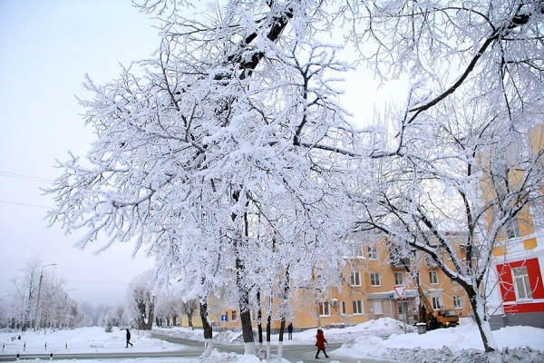 Прогноз погоды на 31 января