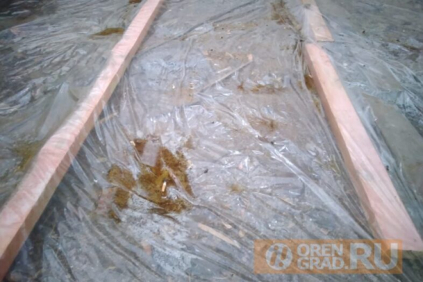 В Оренбурге продолжается капитальный ремонт кровли В Оренбурге продолжается капитальный ремонт кровли