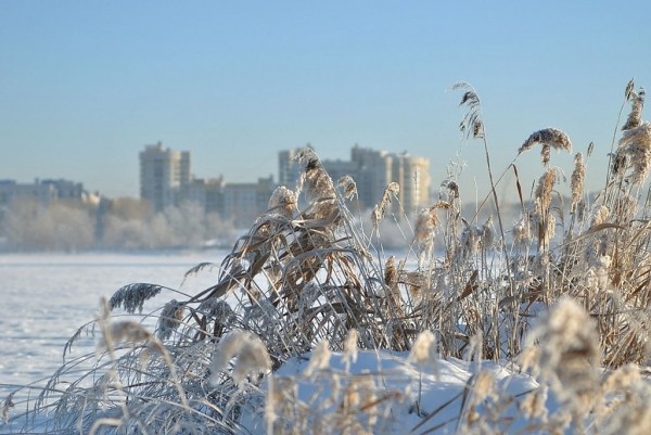 Прогноз погоды на 7 января