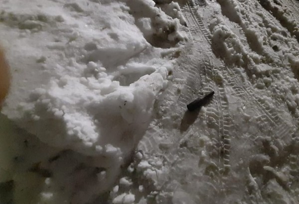 В центре Оренбурга нашли ручную гранату