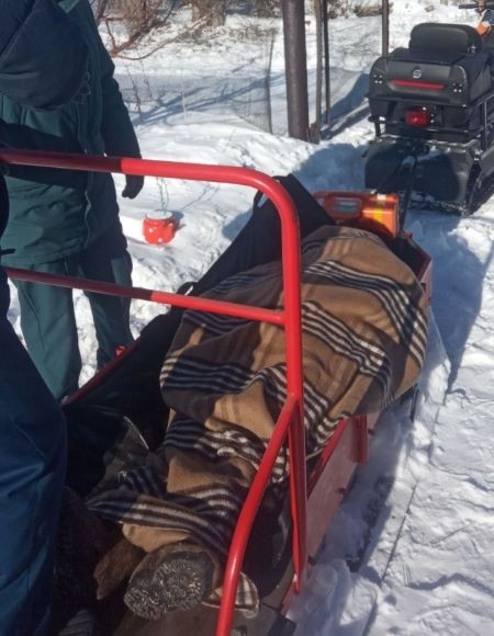 В Оренбуржье врачу "скорой" пришлось добираться к пациентке на санях