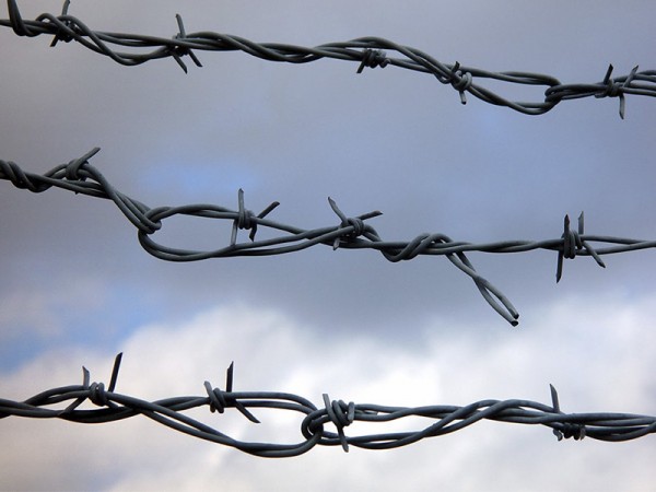 Оренбургские УФСИН забросали запрещенными предметами