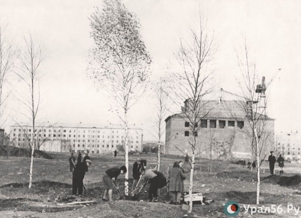 
Изменение русла Урала и проспект от Песчанного озера до Биофабрики. Как местный бухгалтер предложил распланировать Орск для заселения миллионом жителей		