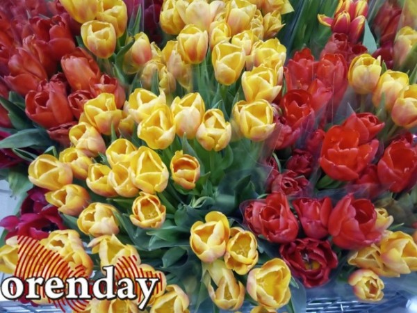 Цветы на 8 Марта обойдутся оренбуржцам недешево