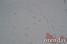 Самый чистый двор в городе - у дома, где живет прокурор Оренбургской области