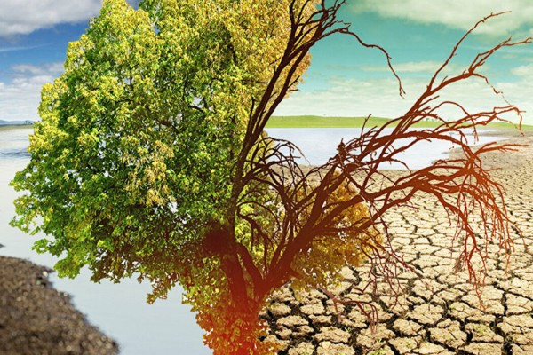 Ученые определили, когда в России лето будет длиться полгода Ученые определили, когда в России лето будет длиться полгода