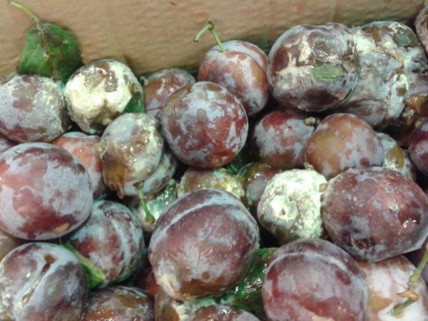 &laquo;Магнит&raquo; заплатит оренбуржцу за просроченный товар