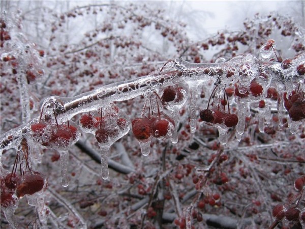 В Оренбуржье 19 марта прогнозируют ледяной дождь и сильный ветер