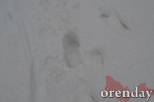 Самый чистый двор в городе - у дома, где живет прокурор Оренбургской области