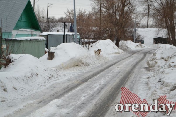 Самый чистый двор в городе - у дома, где живет прокурор Оренбургской области