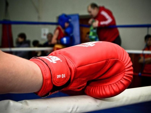 Оренбургские боксеры завоевала 28 медалей на областном первенстве по боксу