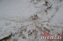 Самый чистый двор в городе - у дома, где живет прокурор Оренбургской области