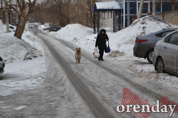 Самый чистый двор в городе - у дома, где живет прокурор Оренбургской области