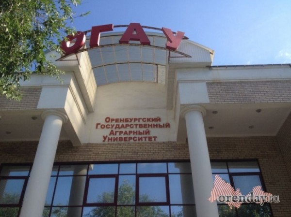 В Оренбурге завкафедрой уголовного права и процесса из ОГАУ попалась на взятке