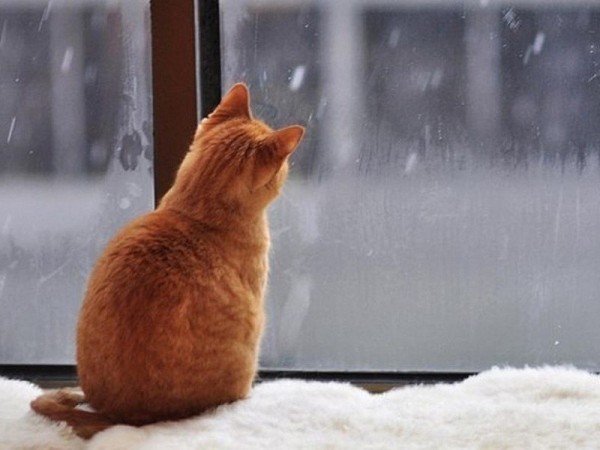 На выходных в Оренбуржье ожидается снегопад и дождь