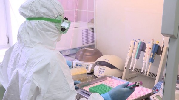 Россиян снова обяжут сдавать тесты на Covid-19 при въезде