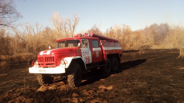 В Новосергиевском районе выгорело 2 гектара сухой травы и валежника