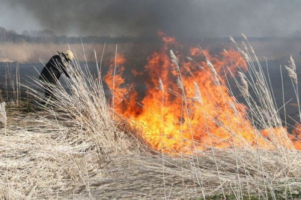 За сутки в Оренбургской области произошло 25 пожаров