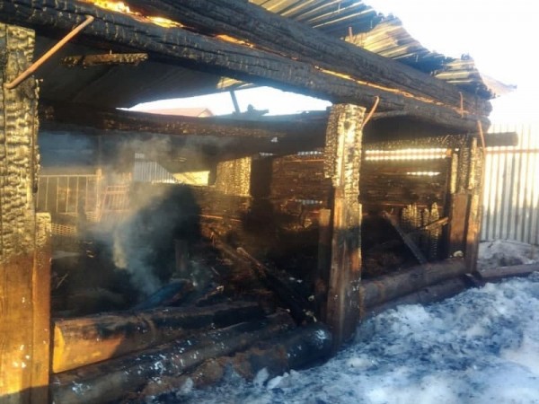 На ночном пожаре в Бузулукском районе погибли 40 свиней