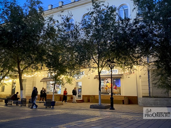 В оренбургском Заксобе предложили штрафовать за парковку на газонах и мусор