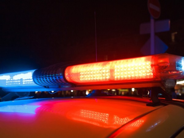 Сорвавшаяся с привязи собака в Илекском районе покусала ребенка