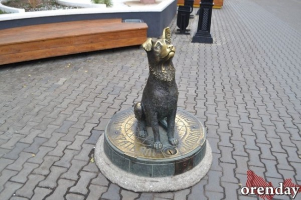 Ситуация с бродячими псами в Оренбуржье зашла в тупик: неужели вернут отстрел