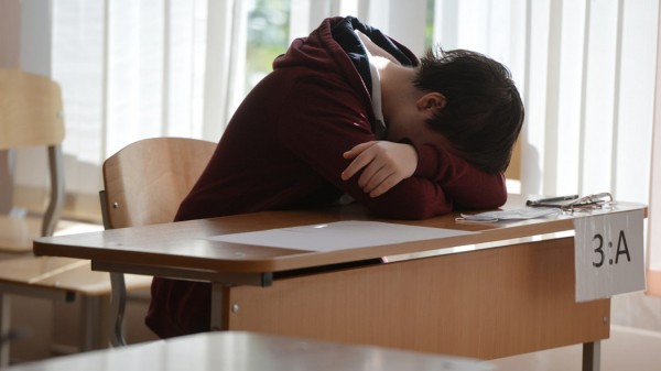 Оренбургские школьники будут писать меньше контрольных работ