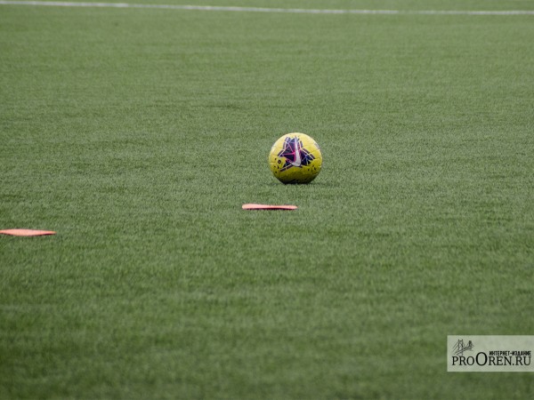 В Оренбуржье сократили субсидии профессиональным спортклубам на 2021 год