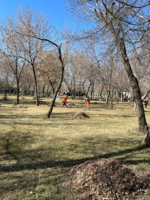 Сегодня в Оренбурге прошли районные субботники Сегодня в Оренбурге прошли районные субботники