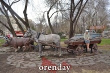 Каким предстанет после реновации оренбургский парк «Салют, Победа!» Каким предстанет после реновации оренбургский парк «Салют, Победа!»