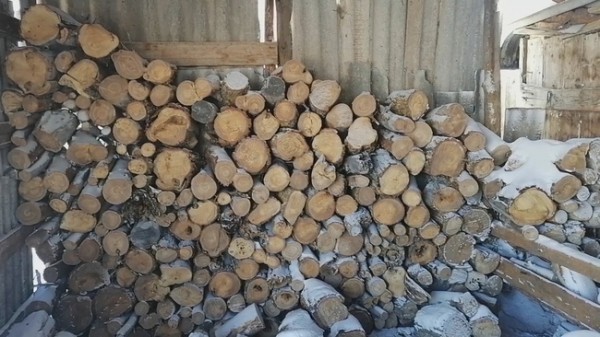 Лесоруб из Первомайского района может "заработать" полумиллионный штраф за 13 дубов Лесоруб из Первомайского района может "заработать" полумиллионный штраф за 13 дубов