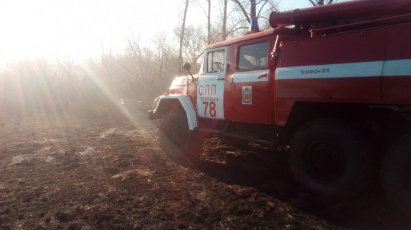 В Новосергиевском районе выгорело 2 гектара сухой травы и валежника